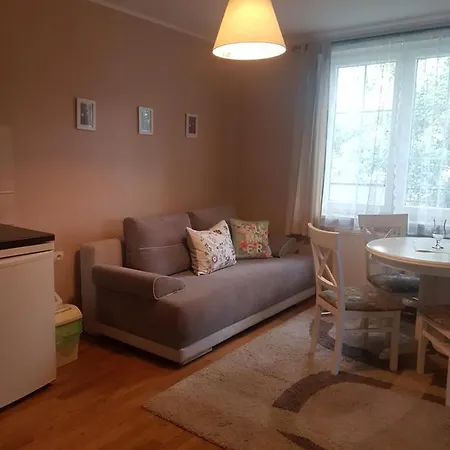 Dworek Pod Roza Karwienskie Bloto Drugie Esterno foto